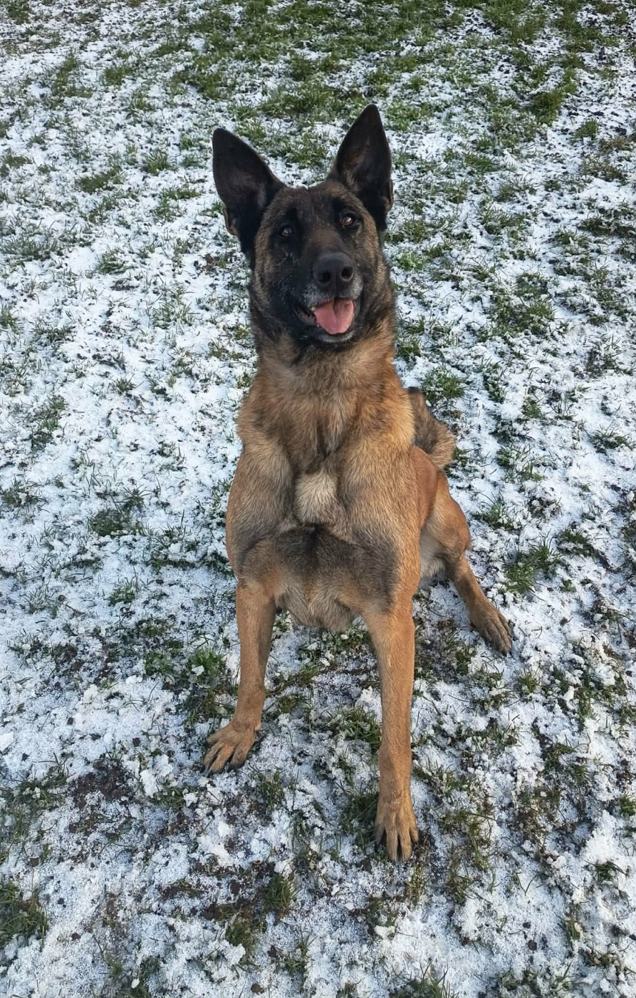 Tasha De La Trissonière